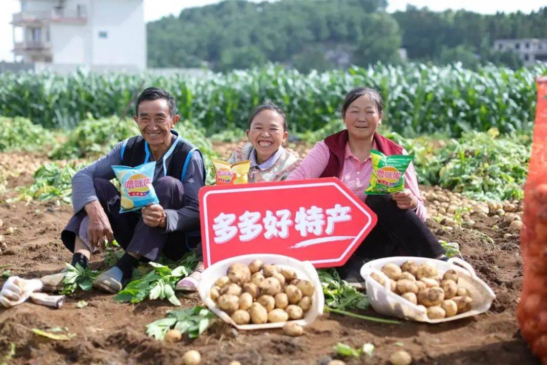 “逆行者”拼多多：甘于牺牲利润专注扶持商家